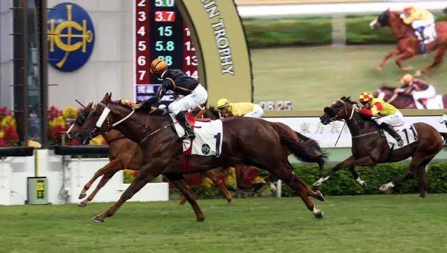 探索香港全年资料马会大全，赛马的魅力与文化深度香港2021年马会资料大全