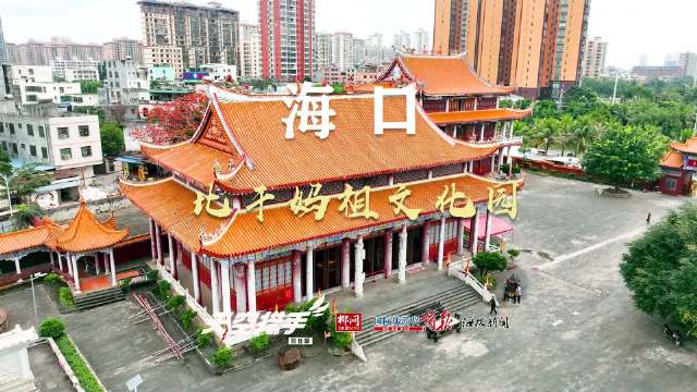 探索香港特码，文化、历史与现代生活的独特魅力香港特马今期开奖结果查询表