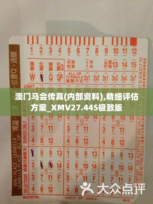 正版马会传真资料—赛场上的智慧之选正版马会传真资料+内部