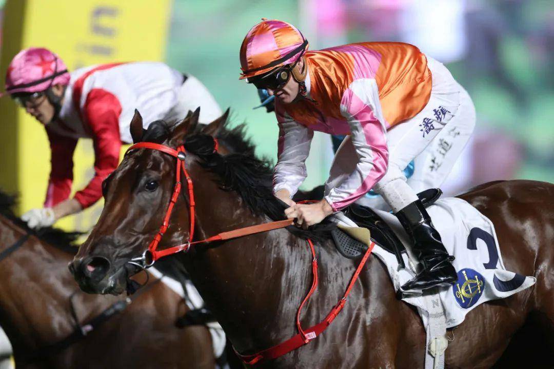 2019香港马年赛事全回顾，激情与荣耀的年度盛宴最准的香港马资料2020