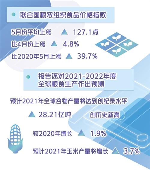 2049年新奥历史开奖记录78期，回顾与展望2024新奥历史开奖记录查询