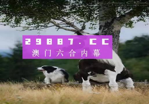六 小结 与思考2021年澳门正版免费资料口