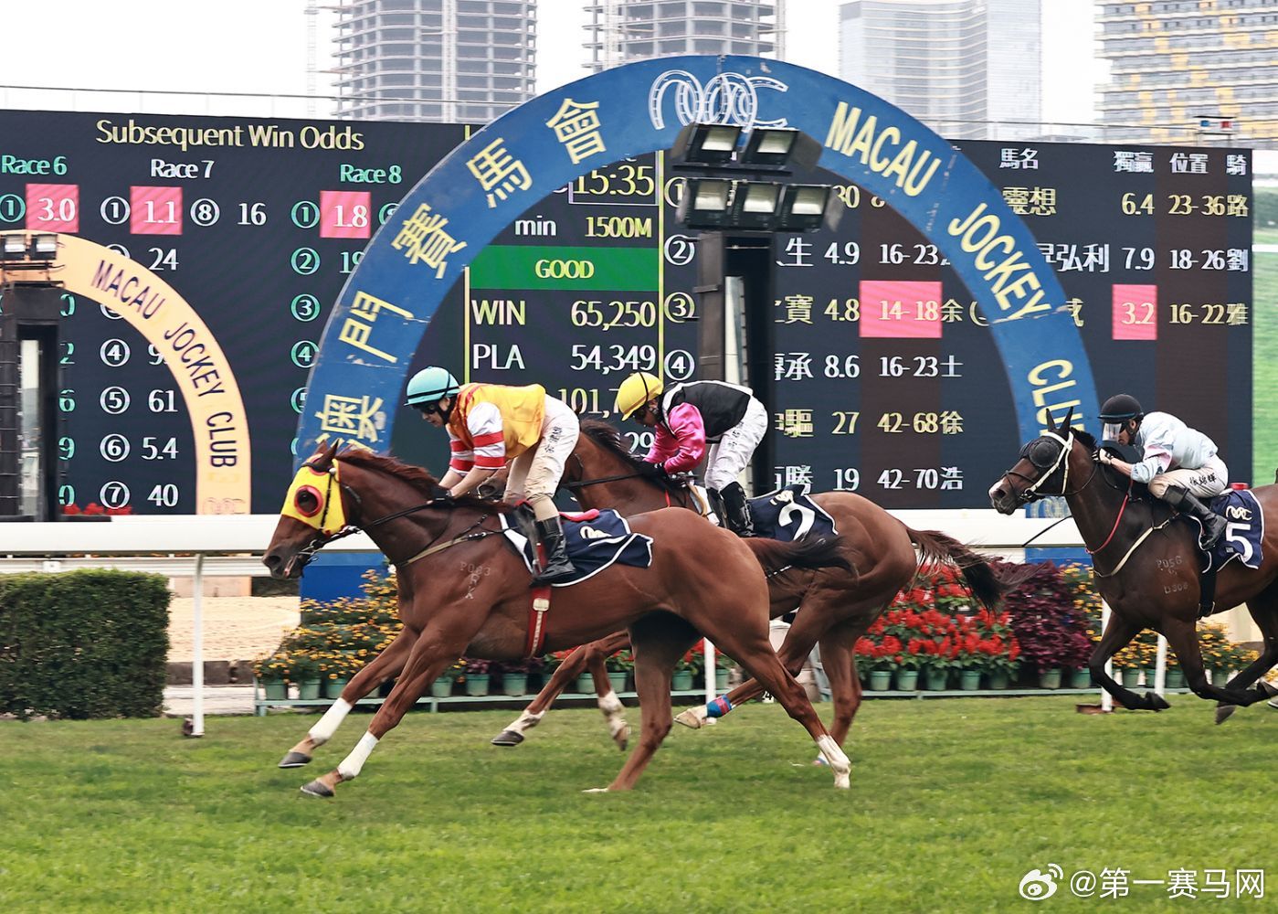 2019年马会免费资料，一场未雨绸缪的智慧盛宴2019年马会免费大全