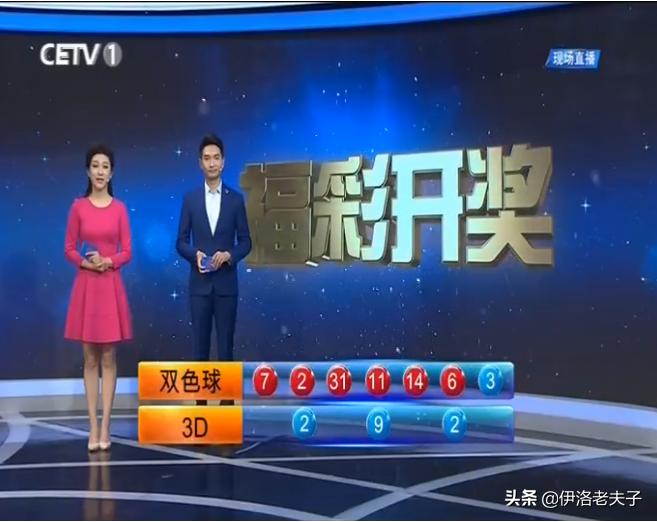 揭秘本期香港码开奖结果，数字背后的故事与期待本期香港码开奖结果2024