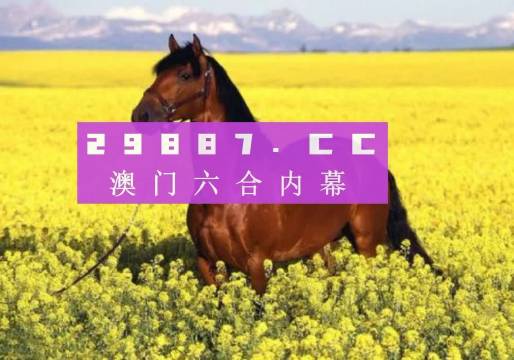 打开澳门网站免费资料，探索澳门的多元魅力与文化深度打开澳门网站免费资料2023