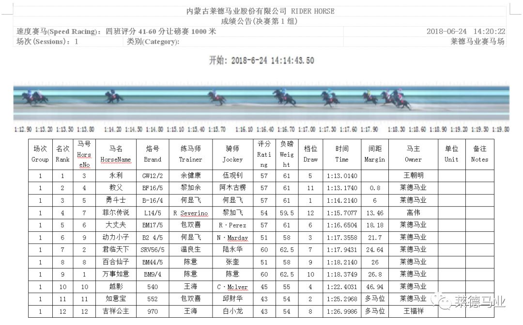 2019年马会全年资料回顾，精彩纷呈的赛事与数据盛宴二0一九年马会全年资料1
