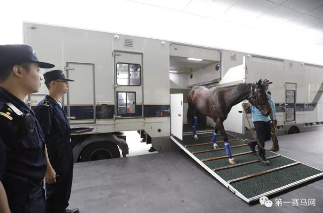 探索香港马会免费资料大全，全面了解赛马的魅力与价值