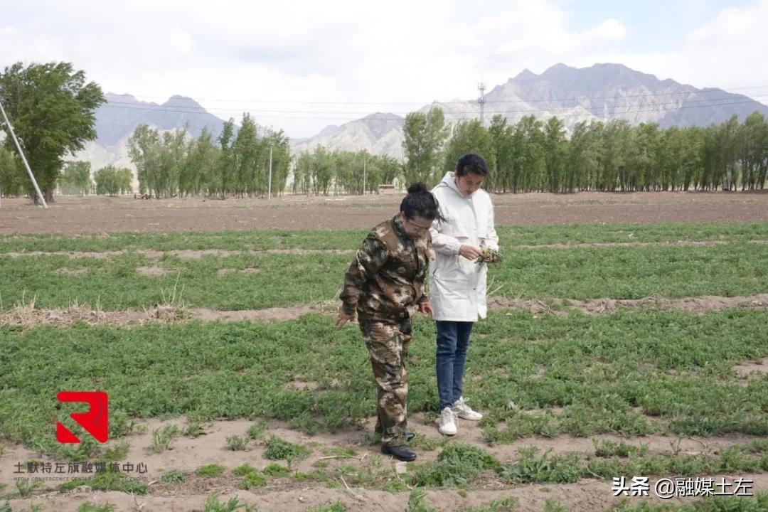 管家婆一码与水果的奇妙结合，解锁生活新乐趣
