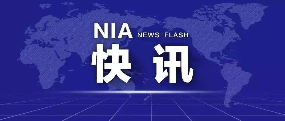 2048年澳门今晚开码料，一场数字与幸运的奇妙邂逅2024年澳门今晚开码料图片