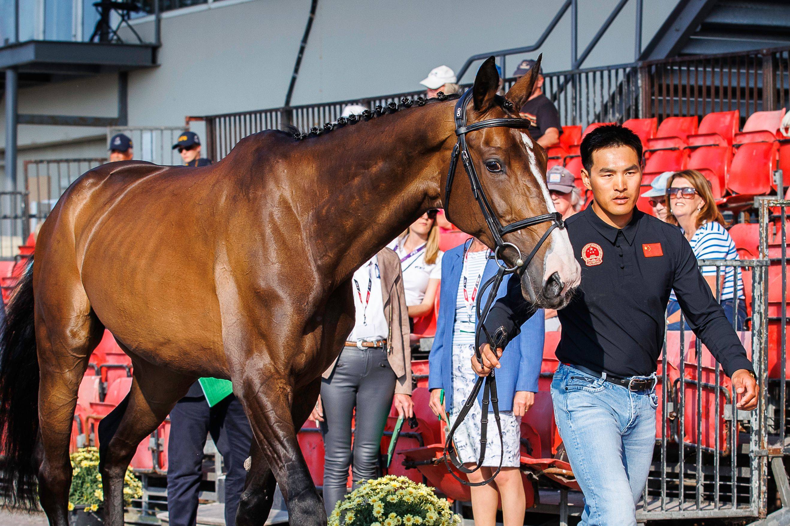 2018香港马会资料大全,赛场风云与投注指南香港2021年马会资料大全