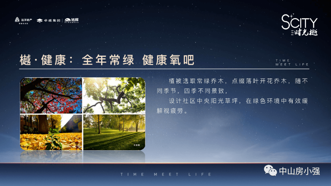 2046新澳门资料，精准免费大全的探索与解析2025年正版资料免费大全