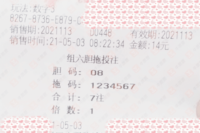 澳门六开奖结果2046，揭秘未来彩票的神秘面纱新澳门今晚开奖号码查询