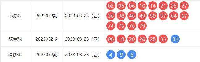 2043年新奥开奖记录，探索未来彩票的数字化与透明化2024新奥开奖记录201期