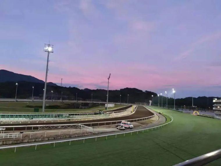 2019香港马会资料大全免费，全面解析与深度解读香港2021年马会资料大全