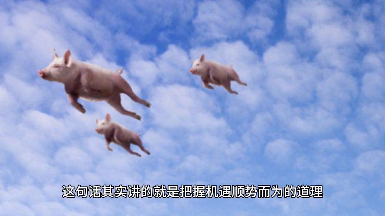 探索2043年香港历史开奖记录，揭秘过去，展望未来2024年香港历史开奖记录查询大全