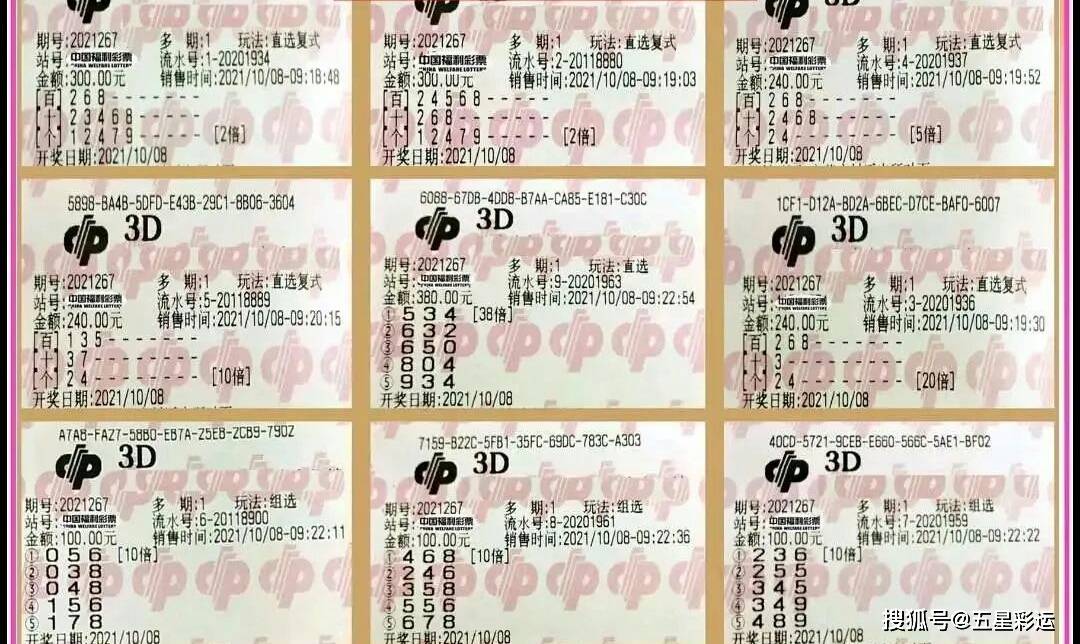新澳开奖记录今日揭晓，彩民期待与惊喜并存新澳开奖记录今天结果查询