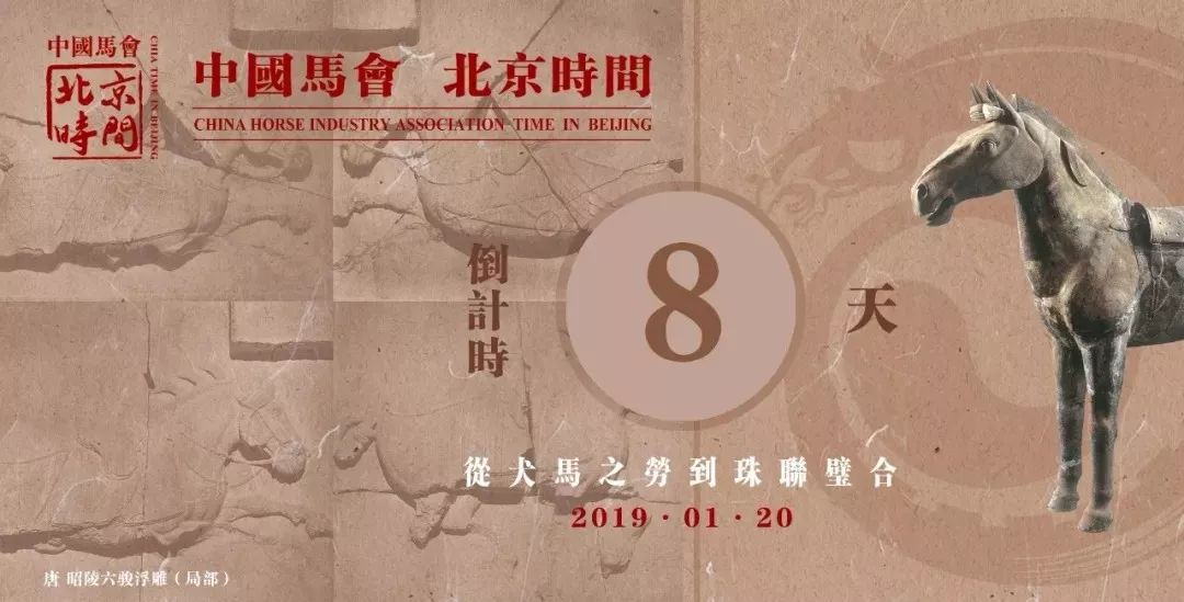 探索香港本港台开马结果，一场文化与幸运的交汇看香港开马的结果现场