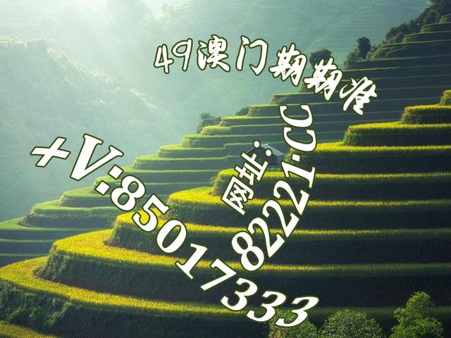 探索红姐图库，数字时代的视觉宝藏红姐图库红姐统一图库红姐彩色统一图