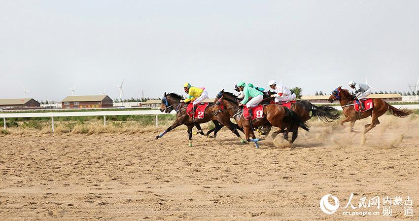 2019年香港马会最快开奖结果,速度与公正的完美结合香港马 会开奖结果新闻