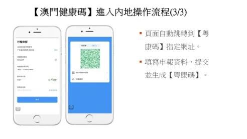 澳门资料大全204年免费下载，解锁最新资讯的便捷途径2025新澳门天天免费精准开奖