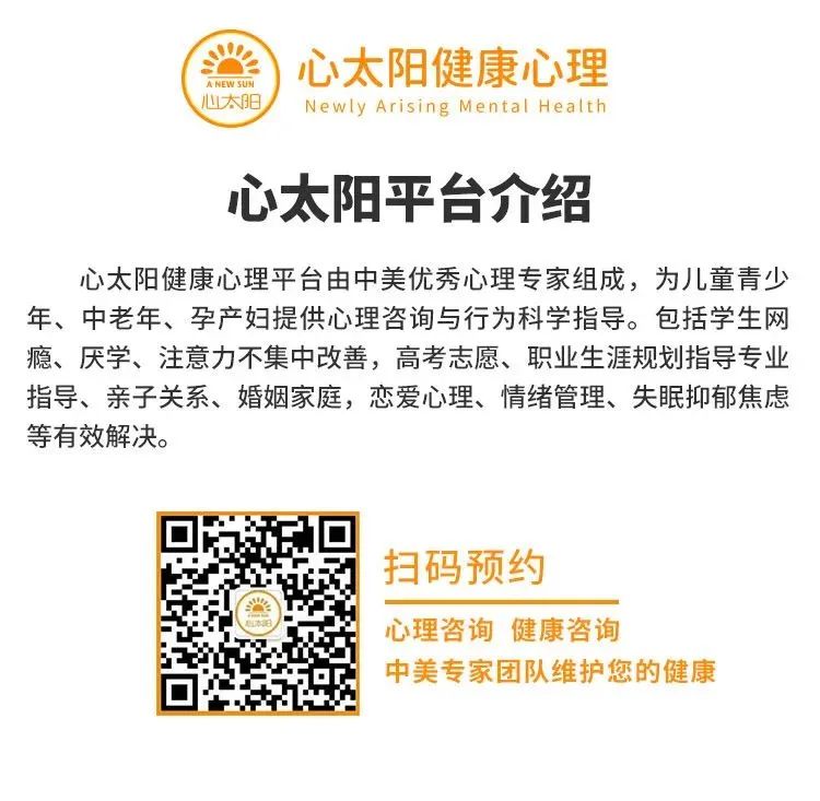 探寻大红人心水论坛的独特魅力与价值红大阳心水论纭