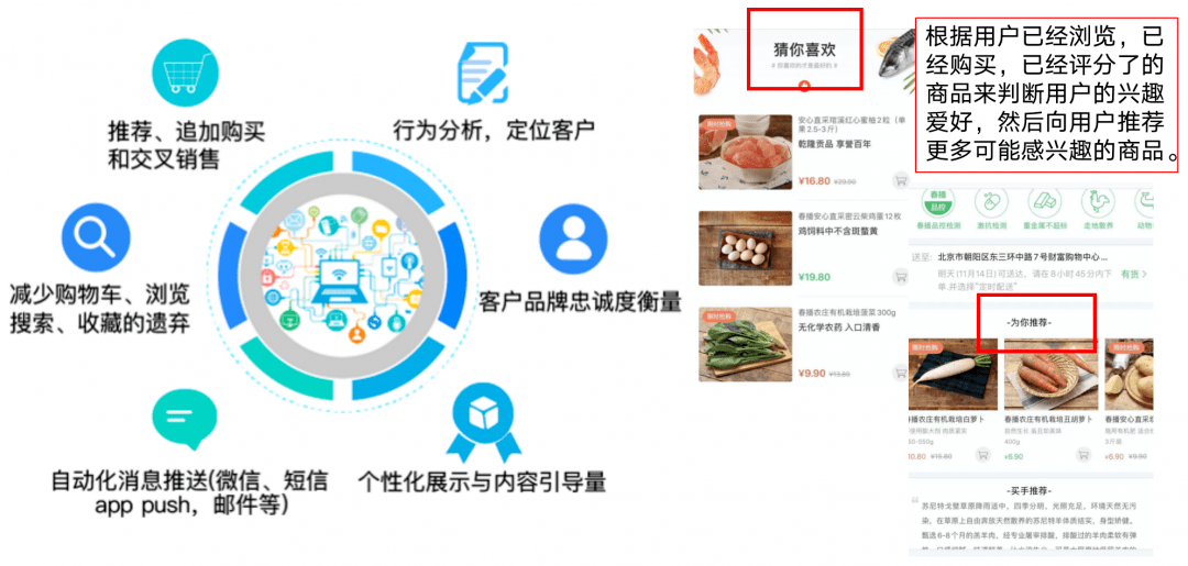 管家婆一肖必中，揭秘精准预测的真相与误区