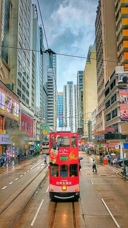 探索香港图库，免费资料大全与看图的乐趣香港图库资讯