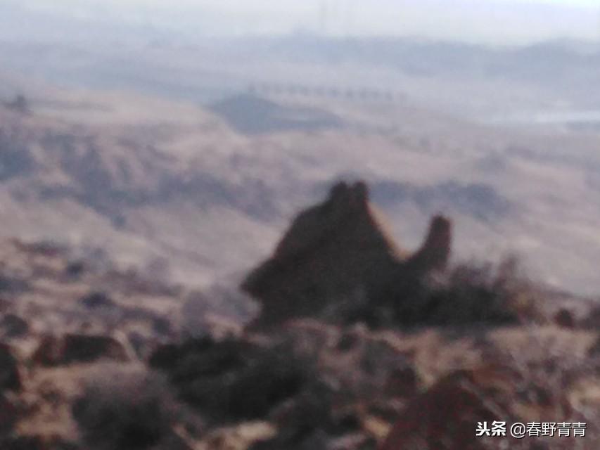 小海龟冒险2—深海奇缘的再启程小海龟冒险2中文版最新版本介绍