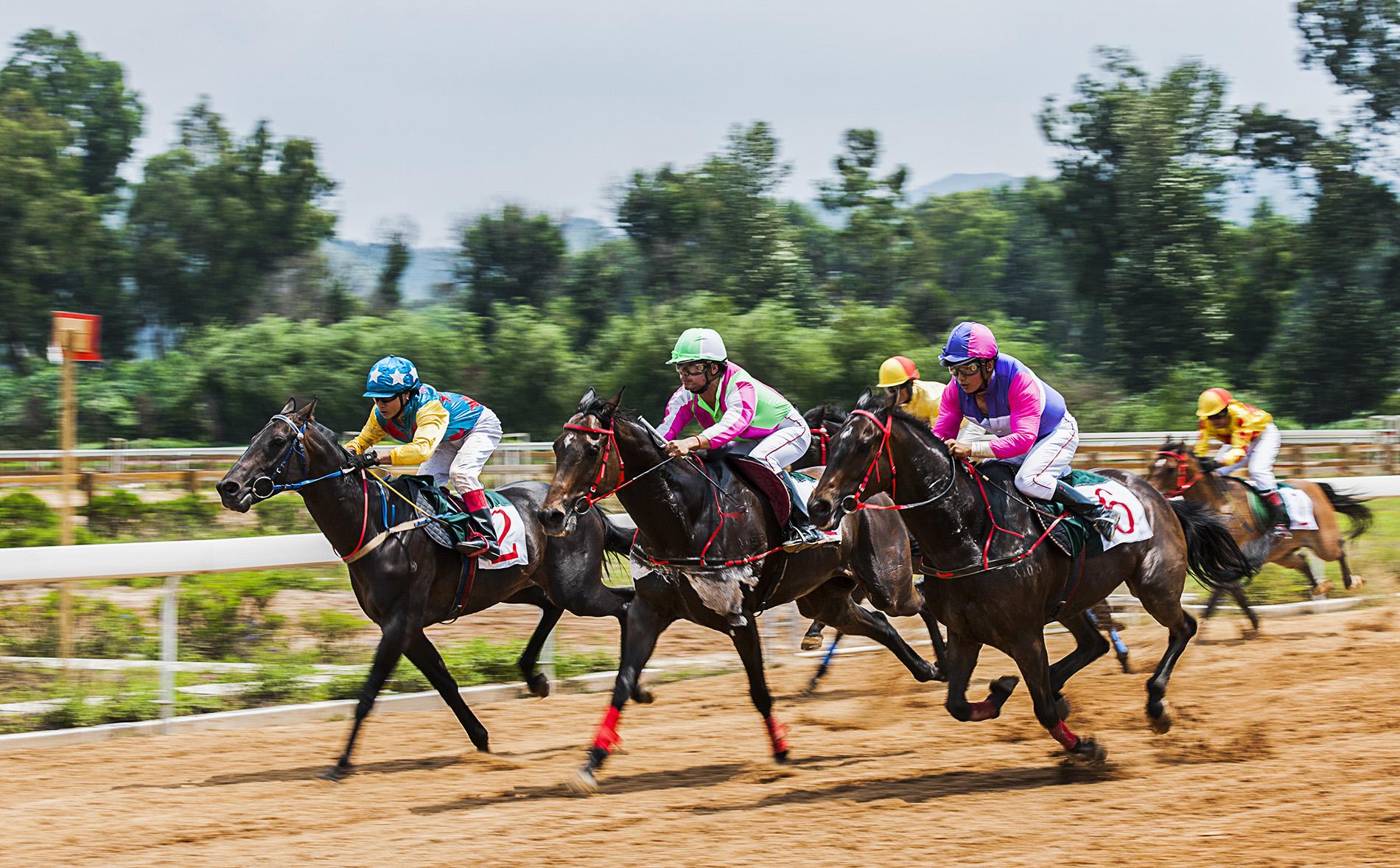 2019香港马会全年资料大全，回顾与展望香港2020马会资料