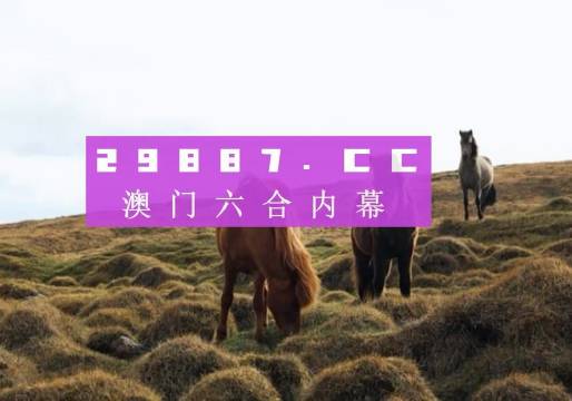 澳门开奖结果记录历史，一页翻开的幸运篇章澳门开奖结果记录历史更新
