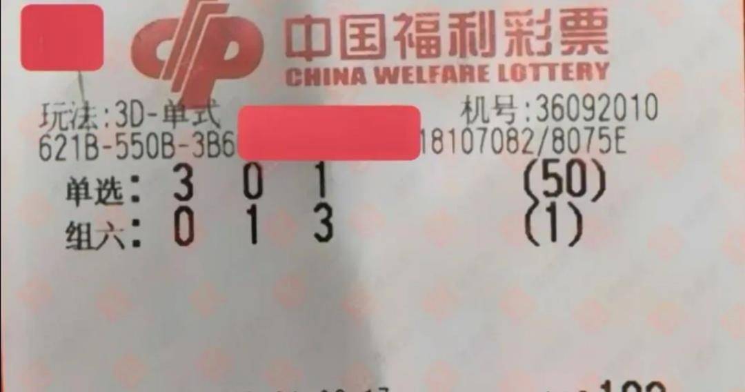 246天天天彩，90后创业者的梦想与坚持246天天天彩天好彩 944cc开奖结果