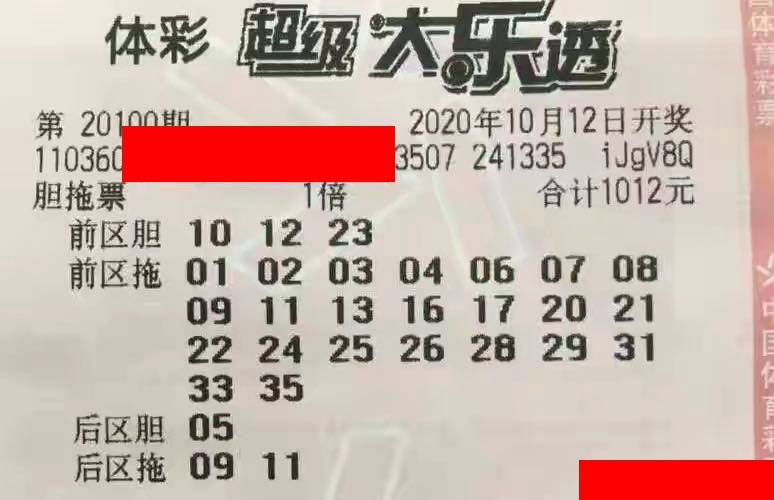 探索新浪网体育彩票大乐透，梦想与现实的交汇点新浪网体育彩票大乐透中奖查询