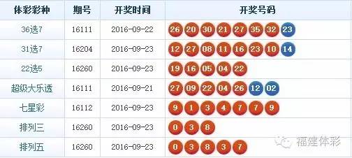 204年开奖结果