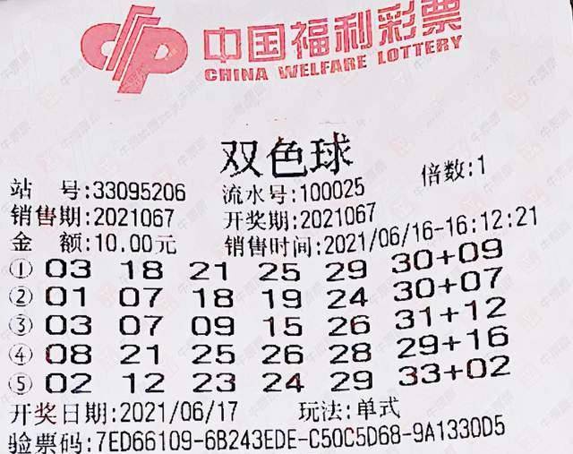2013年双色球第4期，梦想与幸运的碰撞—揭秘开奖结果双色球13125期开奖结果是什么