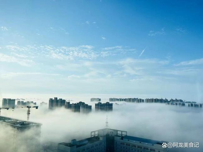 乐彩论坛预测，理性与智慧的结合神仙姐姐乐彩论坛预测