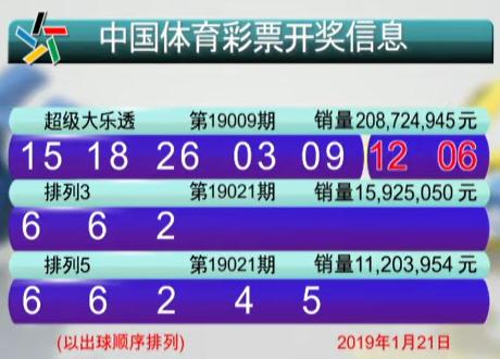 揭秘二零三九头奖开，数字背后的奥秘与期待二零三九头奖开是什么生肖