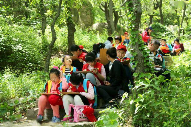 探秘双色球2068，一场数字的奇幻之旅双色球2006088期