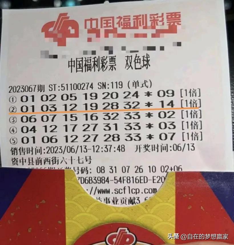 探索双色球一等奖中奖的奥秘，详解分布与策略双色球一等奖中奖详情分布图