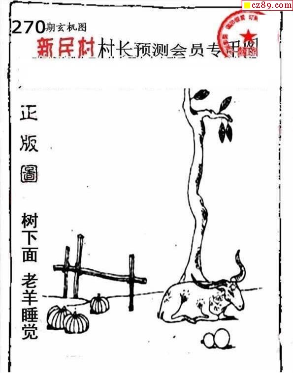 探秘今天村长粮库图谜，一场关于智慧与传统的较量今天村长粮库图谜034
