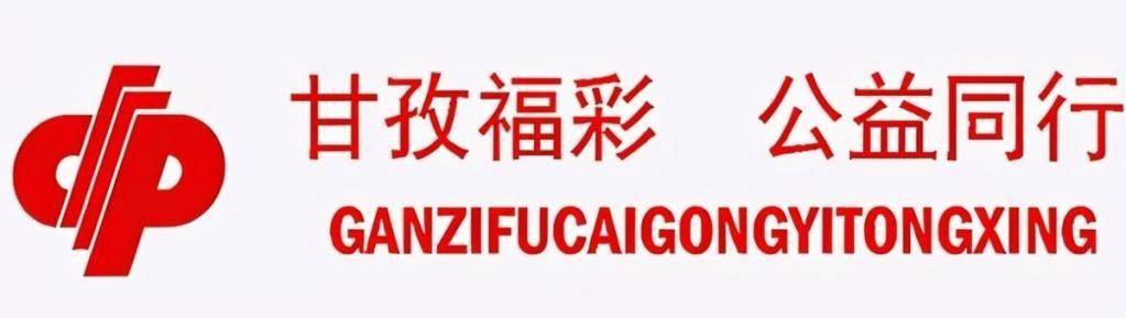 河北燕赵福利彩票双色球，公益与梦想的双重奏鸣河北福利彩票双色球查询