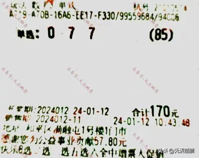 数字彩票揭秘