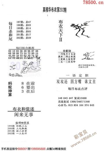 3D图纸，从12到今天，布衣图与创新的融合真精华布衣123456今天开奖号码