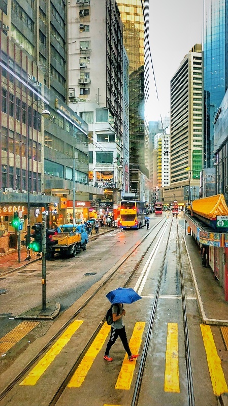 探索香港图库，免费资料大全与看图的乐趣香港图库免费资料大全看图区2023今天