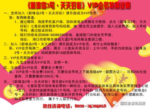 蓝姐平码论坛，数字背后的信任与智慧蓝姐平码资料大公开