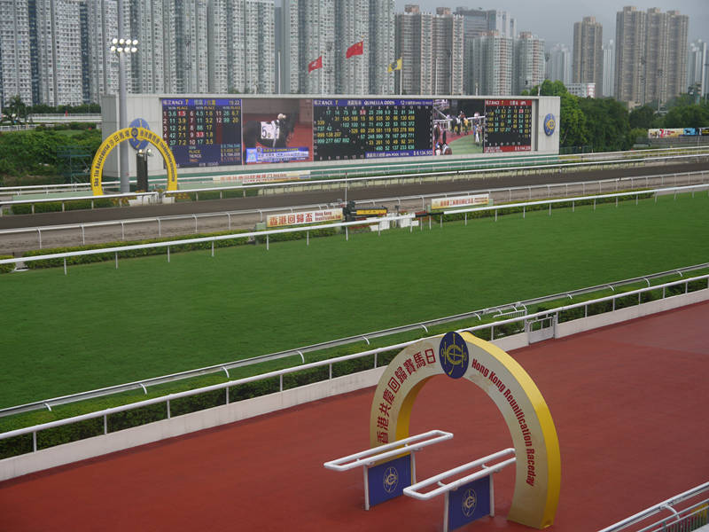 2019马会正版资料，揭秘香港赛马的魅力与价值2019年马会正版幽默