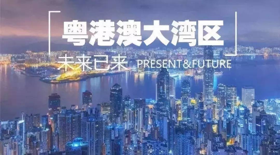 2036澳门资料大全免费下载，解锁信息时代的新机遇2023澳门资料大全免费下载山青水绿属什么动物
