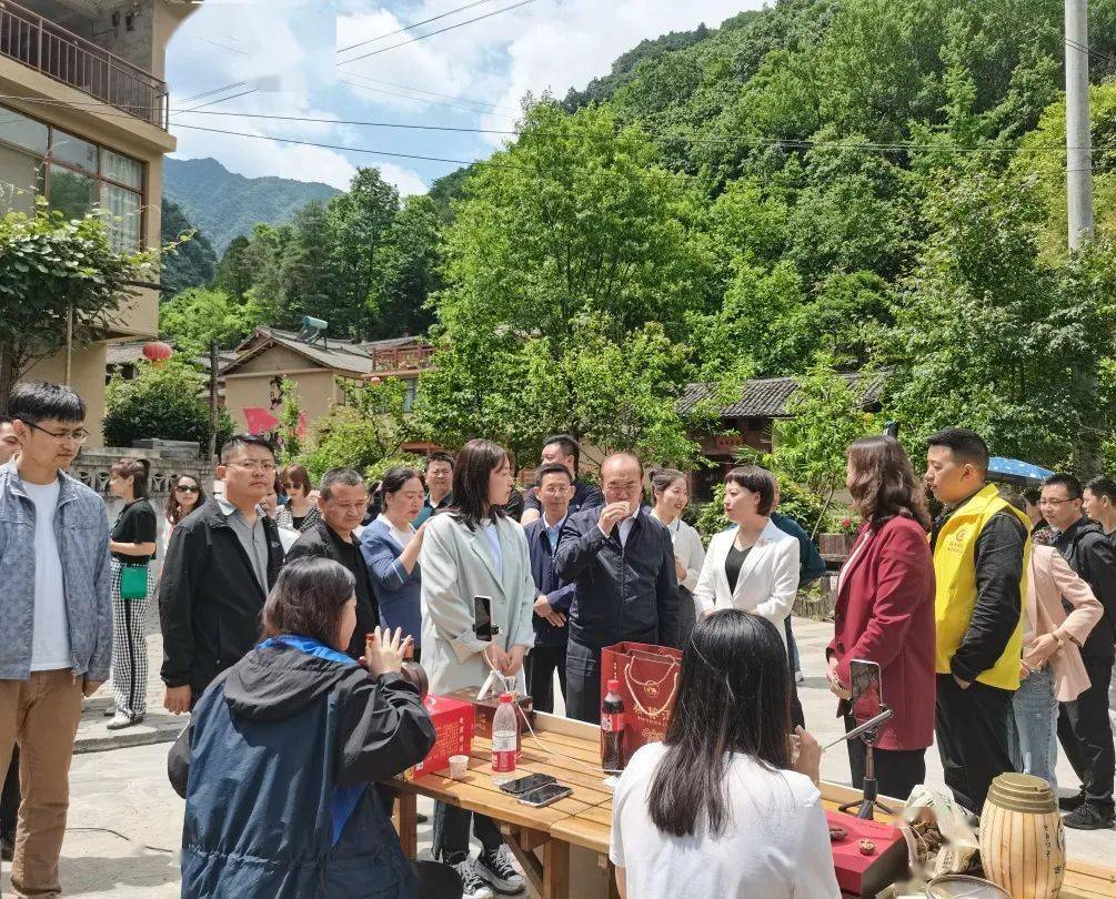 探索香港最快开奖现场直播，速度与激情的完美融合香港最快开奖现场直播2023年