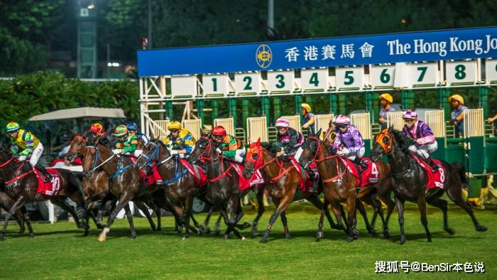 探秘香港本港台开马结果，一场文化与娱乐的双重盛宴本港台开马查询
