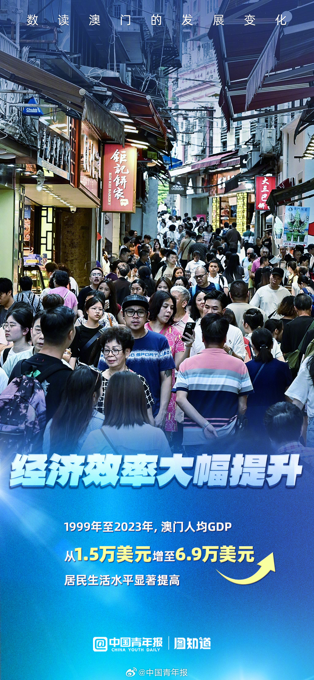 澳门跑狗3769，揭秘背后的数字与文化