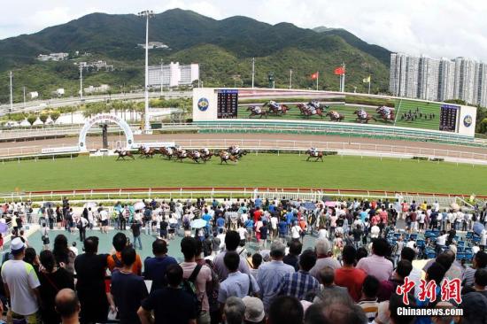 探索香港赛马会，最准资料与免费资料的深度解析香港赛马会最准资料免费资料2023年